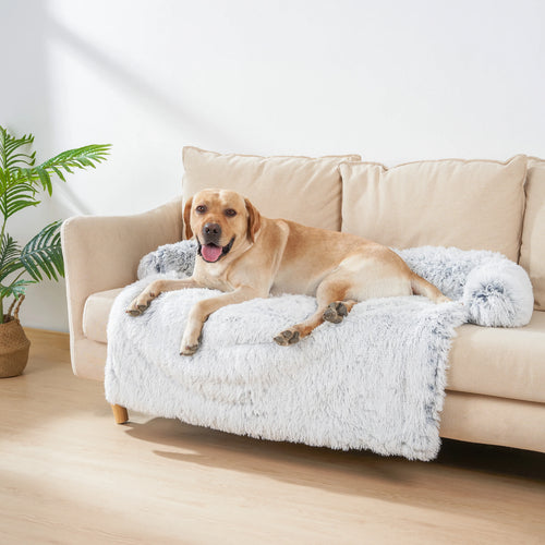 Dog lying on a fluffy blanket on a beige couch in a bright living room.